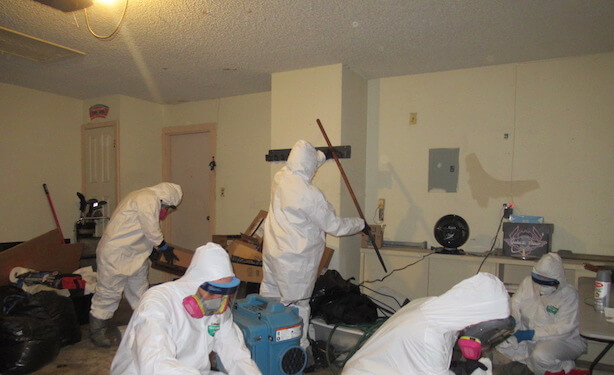 Team Cleans Up Dead Bodies